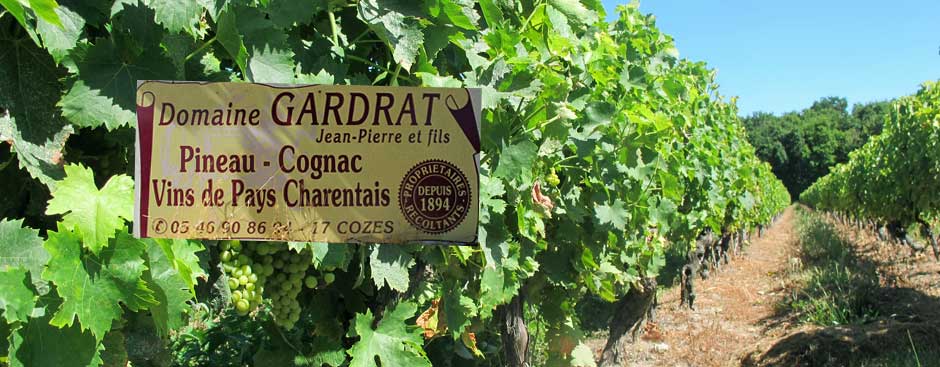 domaine Gardrat