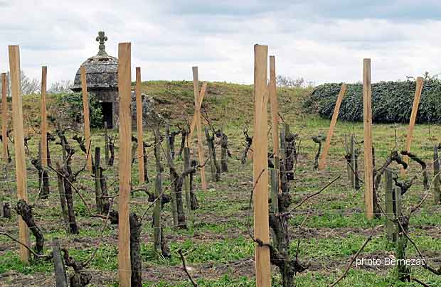 Blaye, la vigne et l'échauguette