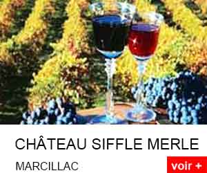 château siffle merle