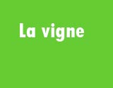 la vigne