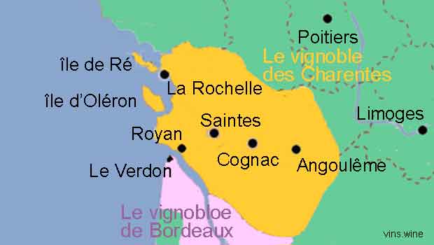 cognac 
