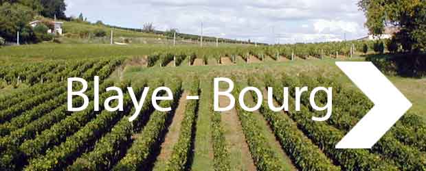 wine tourism bordeaux blaye bourg