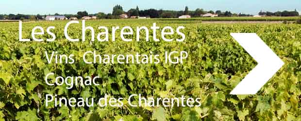 oenotourisme Charentes