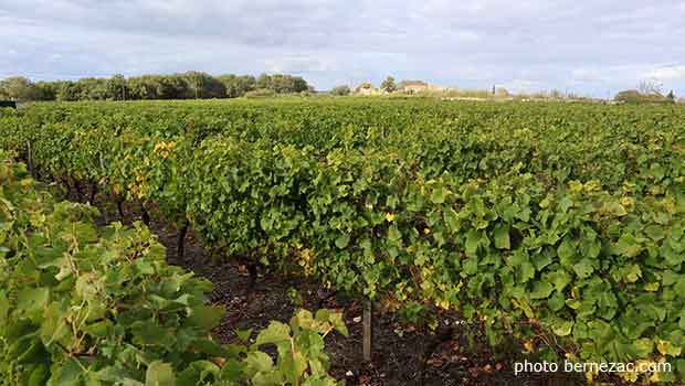 domaine de villemont haut-poitou