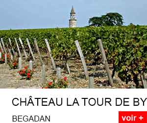 château la Tour de By