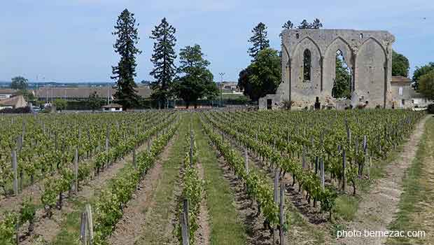 saint-emilion