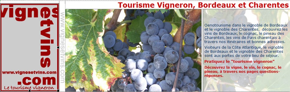 Tourisme Vigneron