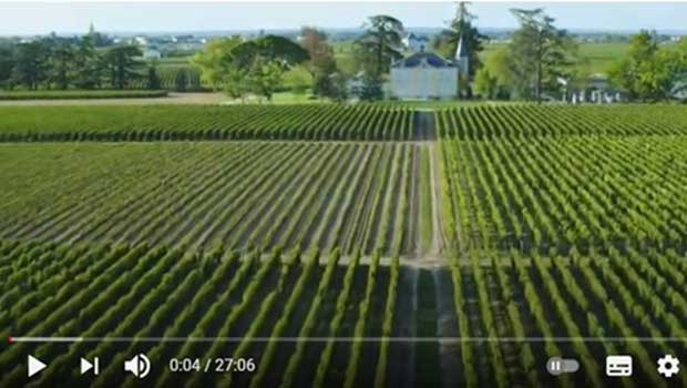 vignoble de Bordeaux vu du ciel